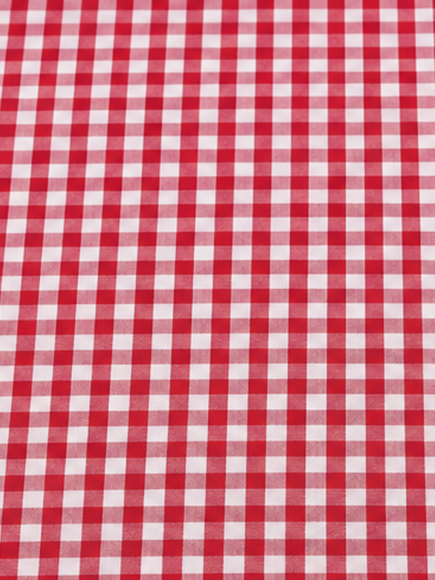 Red & White Gingham Checks Cotton Fabric